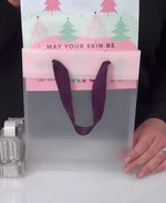 Merry and Bright Skincare Inserts
